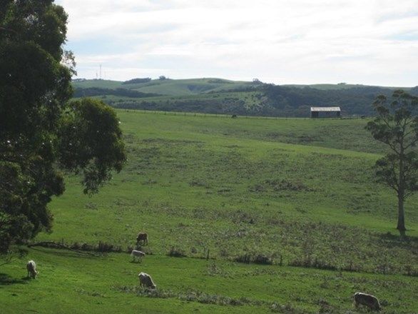 Lot 202 Springmount Road, Myponga SA 5202, Image 1