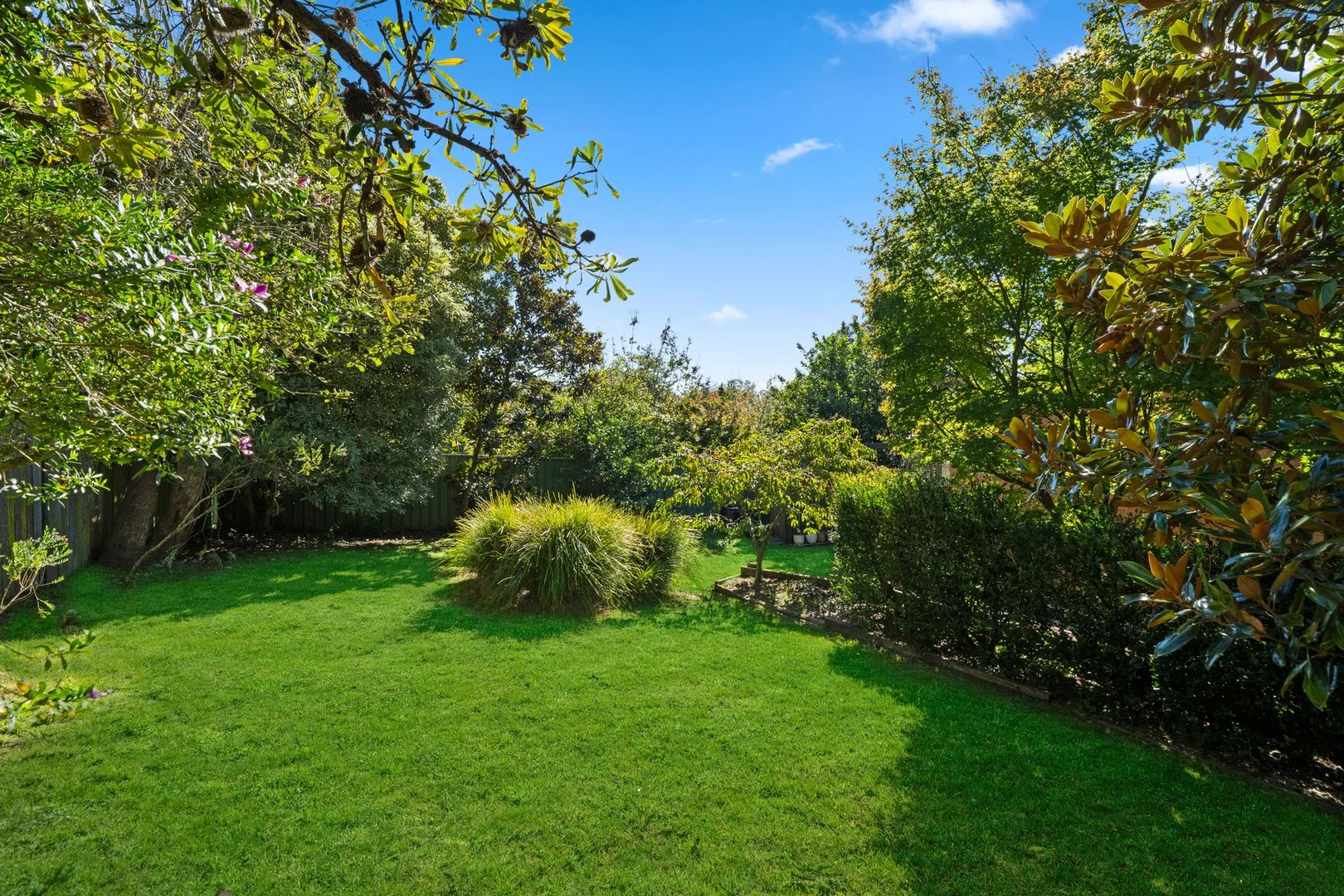 Additional image 14 of 12 David Street, Wentworth Falls NSW 2782