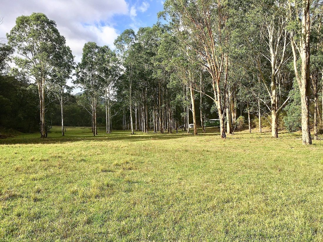 Lot 12 Watagan Creek Road, Laguna NSW 2325, Image 0