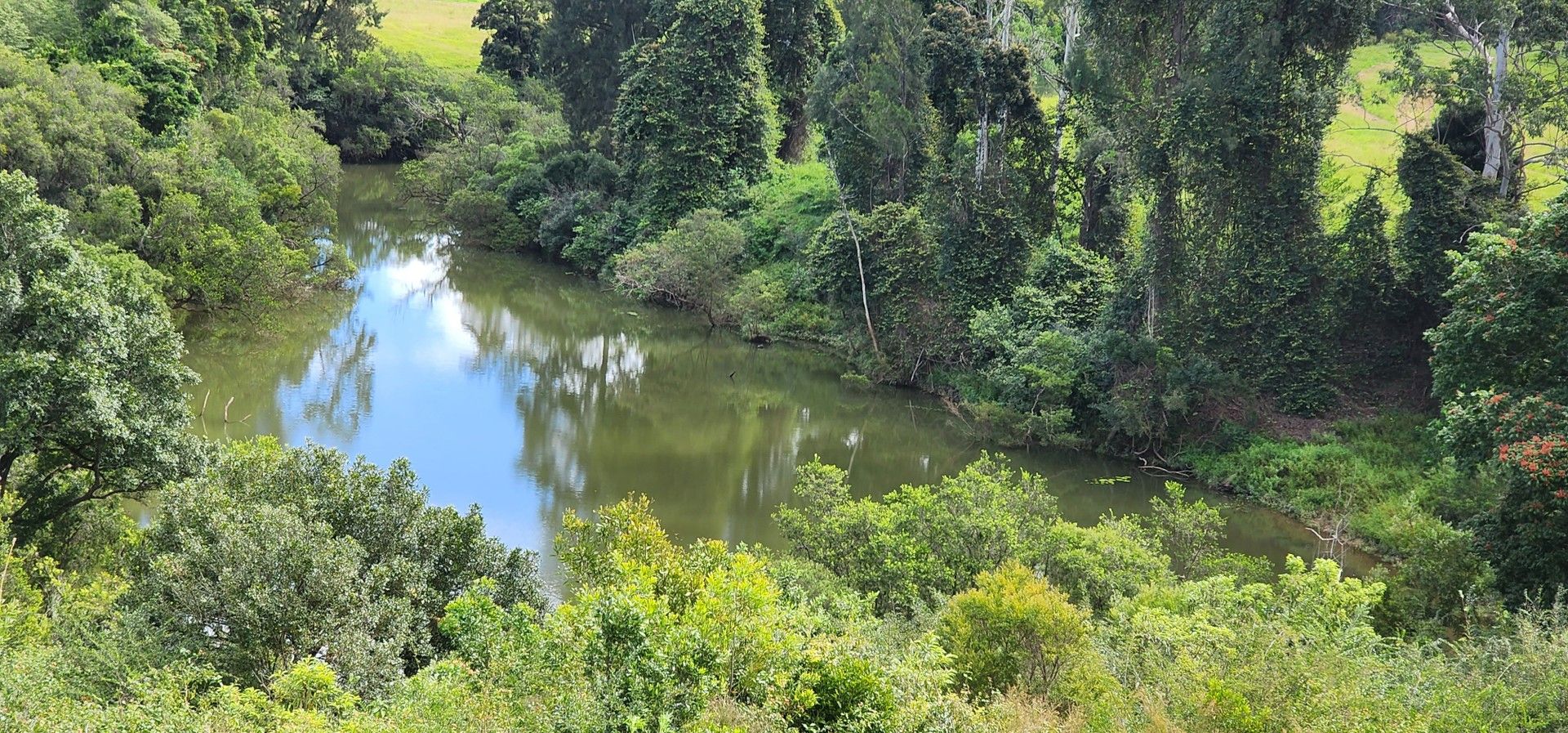 2014 TAYLORS ARM ROAD, Taylors Arm NSW 2447, Image 0