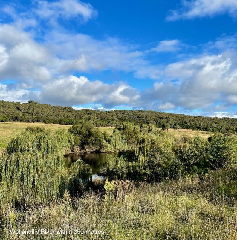 31 Carmella Drive, Goulburn NSW 2580 Domain