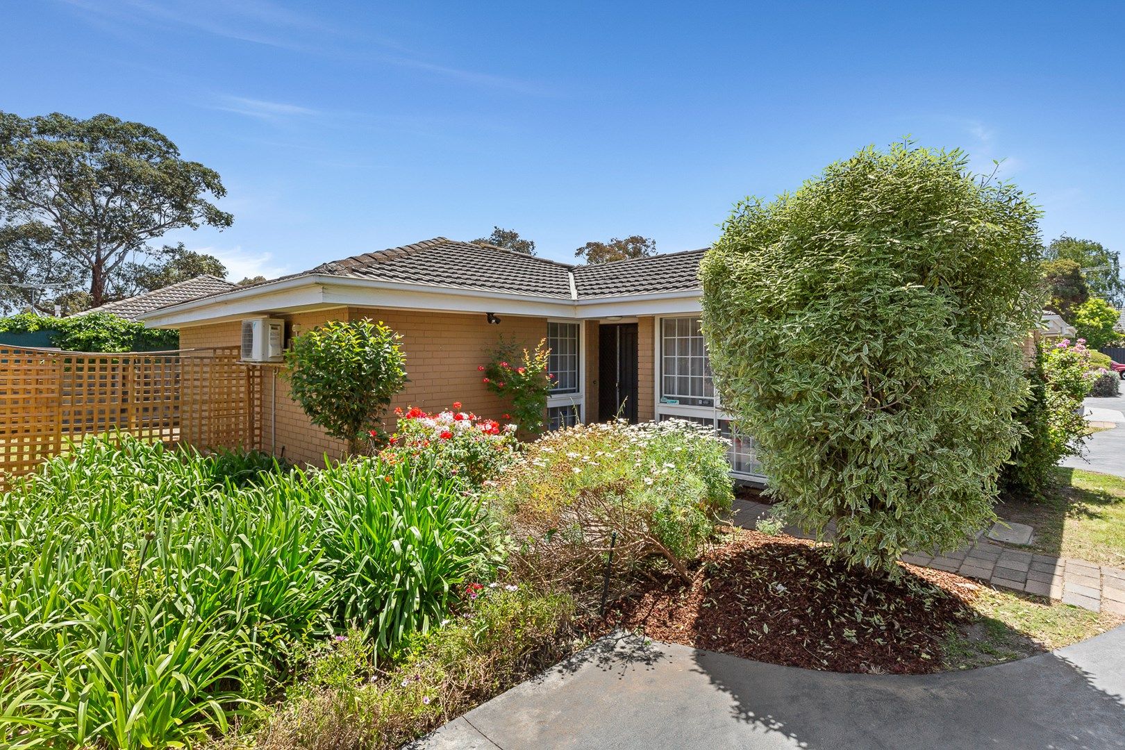 Unit 3/50 Fewster Rd, Hampton VIC 3188, Image 0