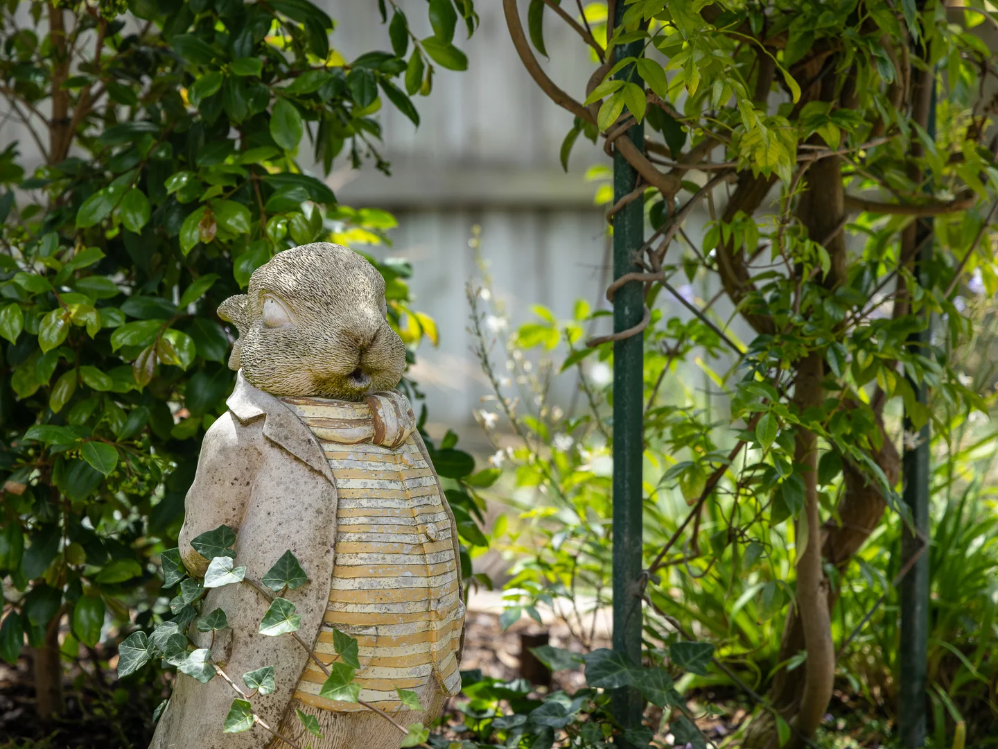 Image 33