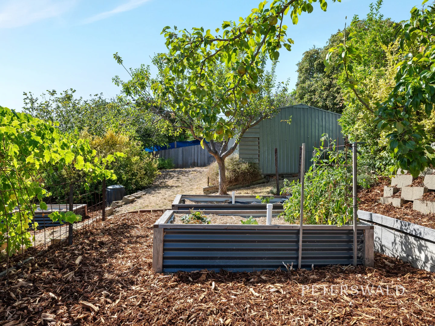 Additional image 32 of 38 Addison St, Rosetta TAS 7010