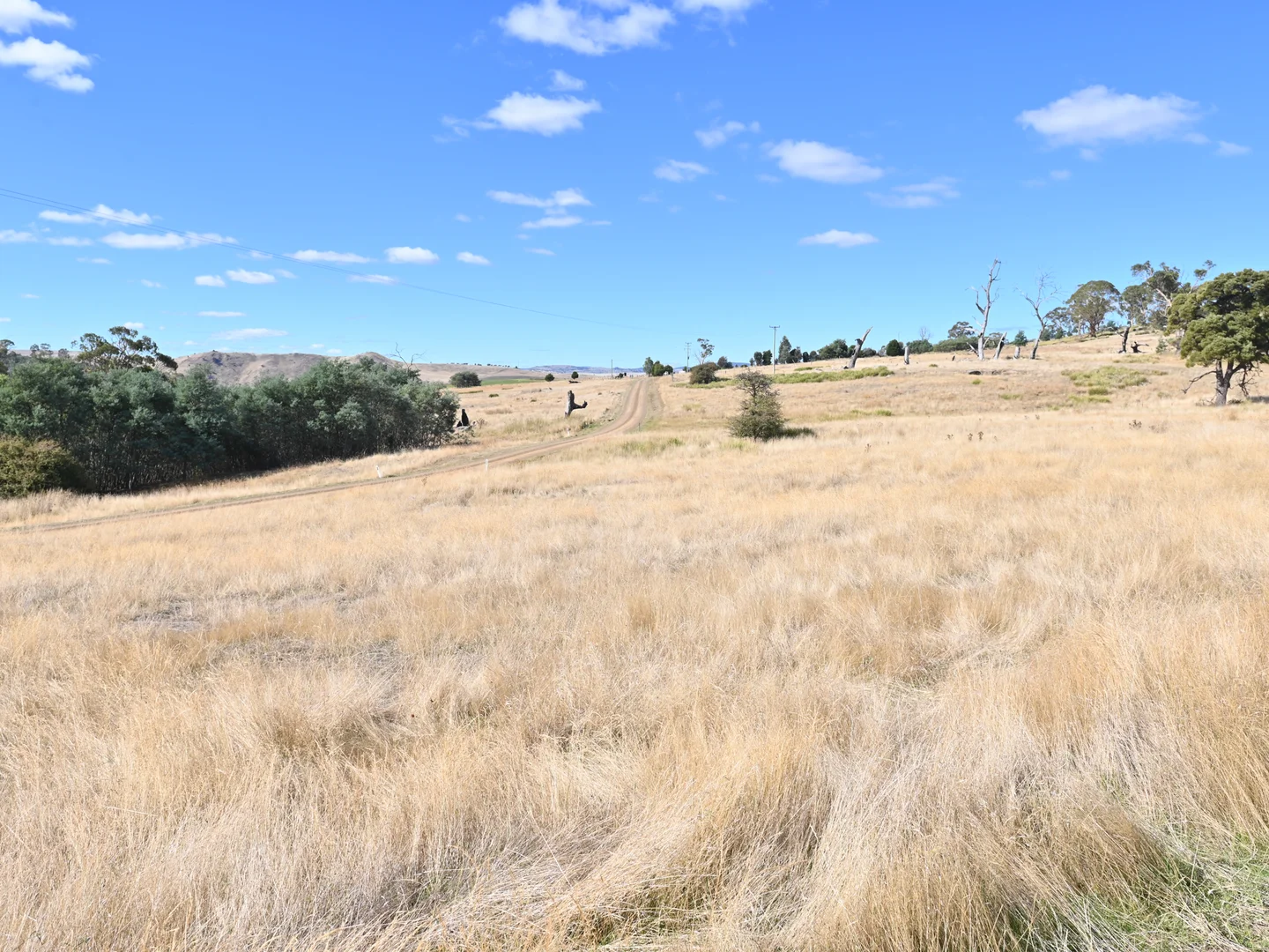 Additional image 10 of 360 Jones River Road, Ellendale TAS 7140