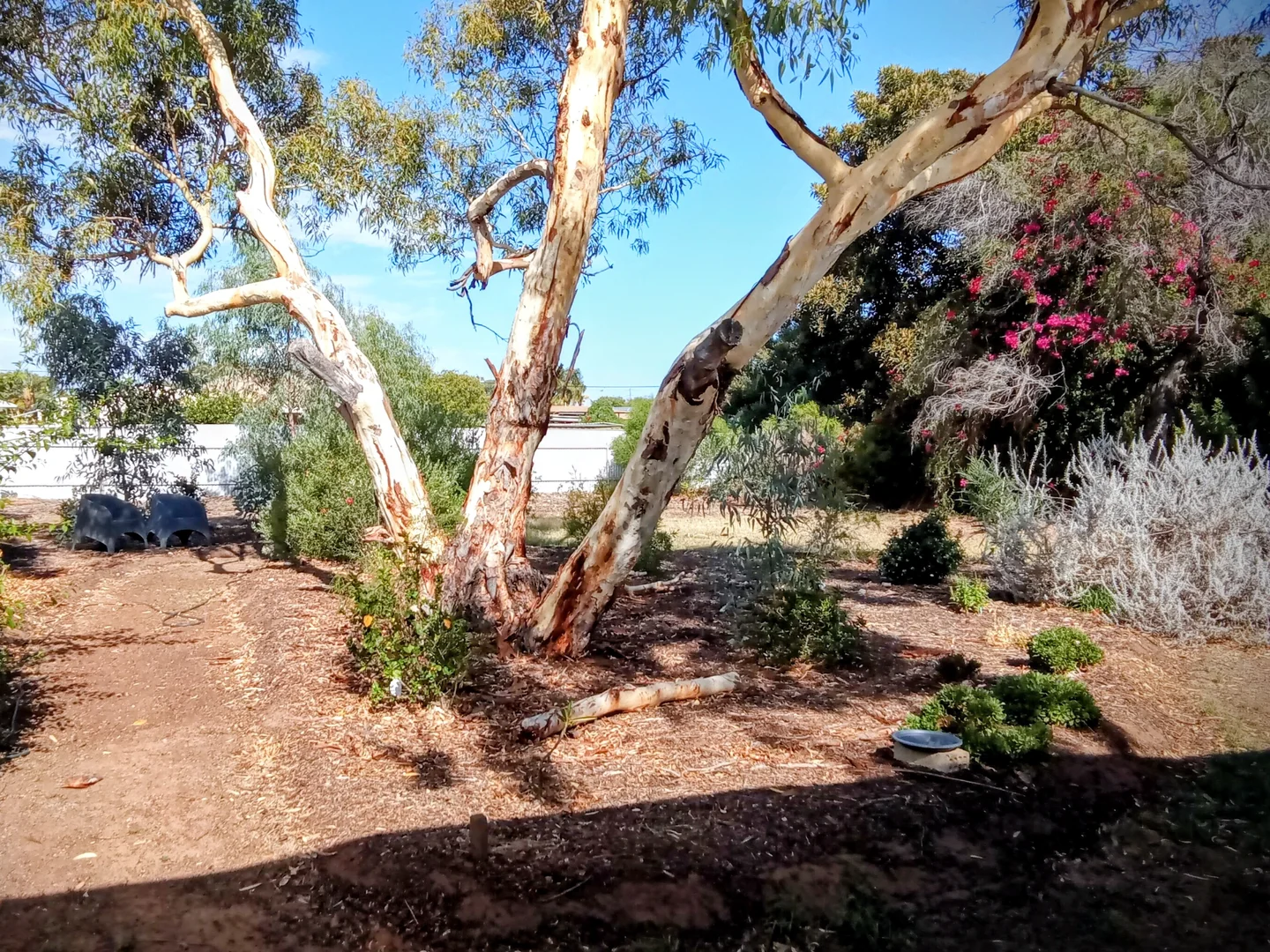 Additional image 28 of Spalding WA 6530