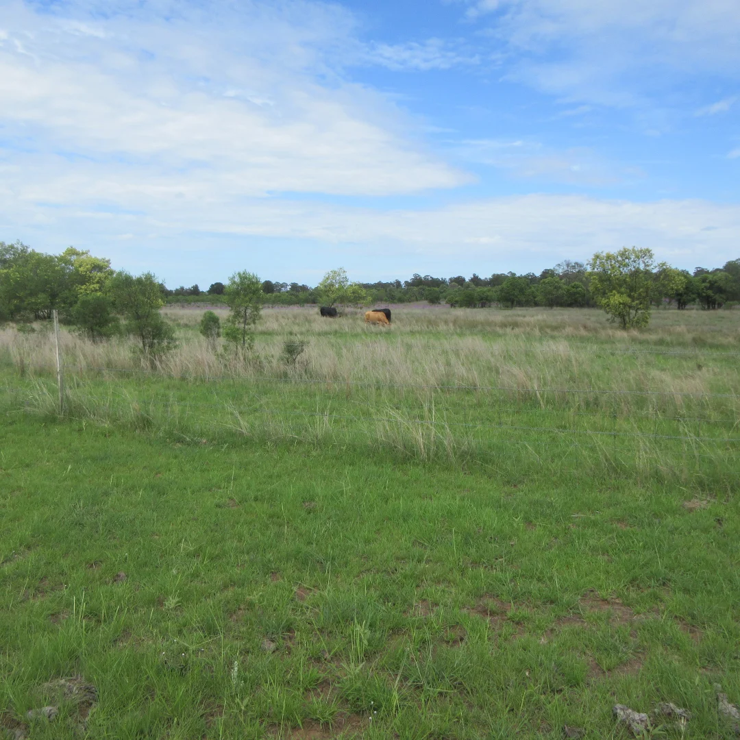 Additional image 16 of Tara QLD 4421