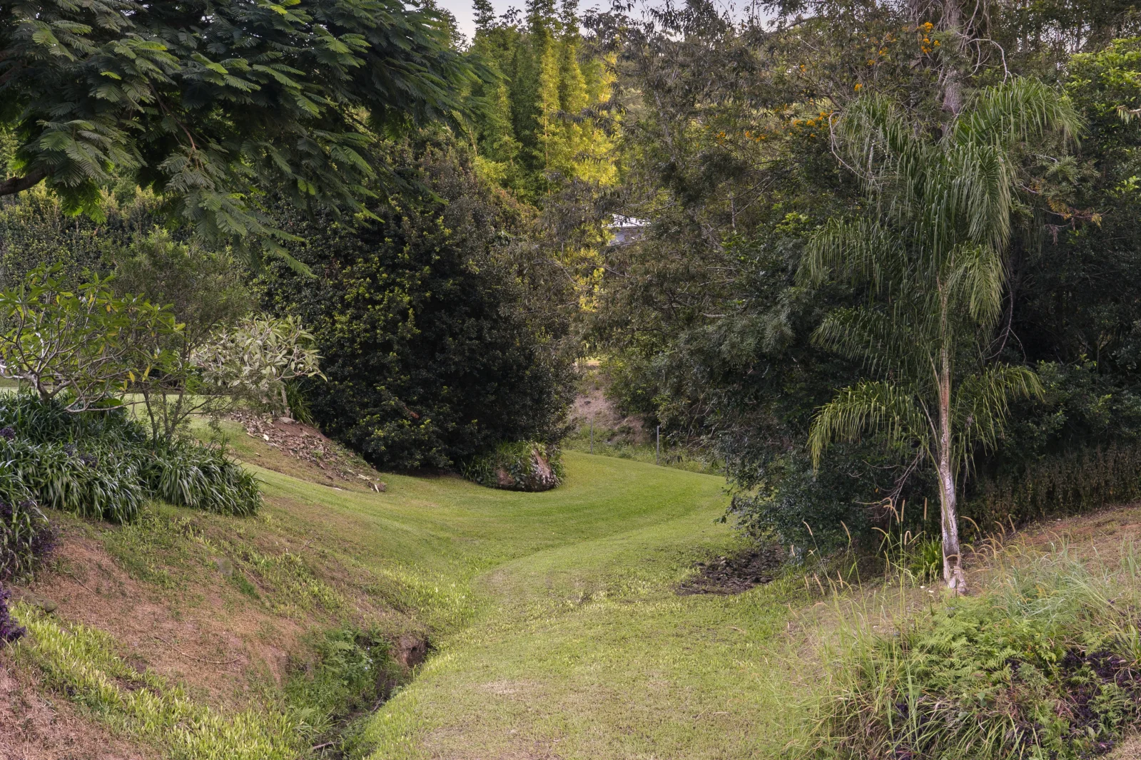 Additional image 35 of 15 Yallanbee Court, Wongawallan QLD 4210