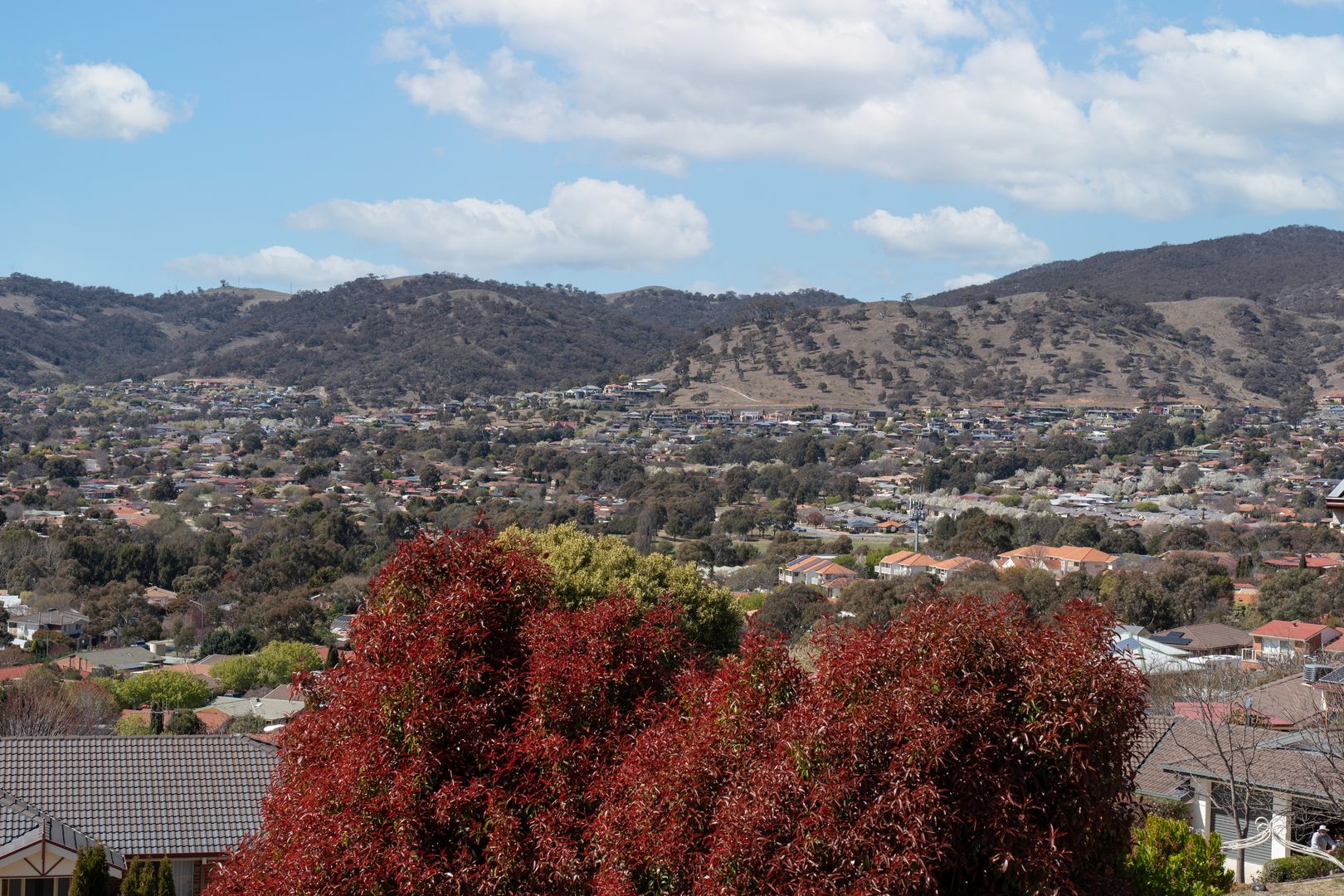 11 Stan Ray Street, Gordon ACT 2906, Image 2