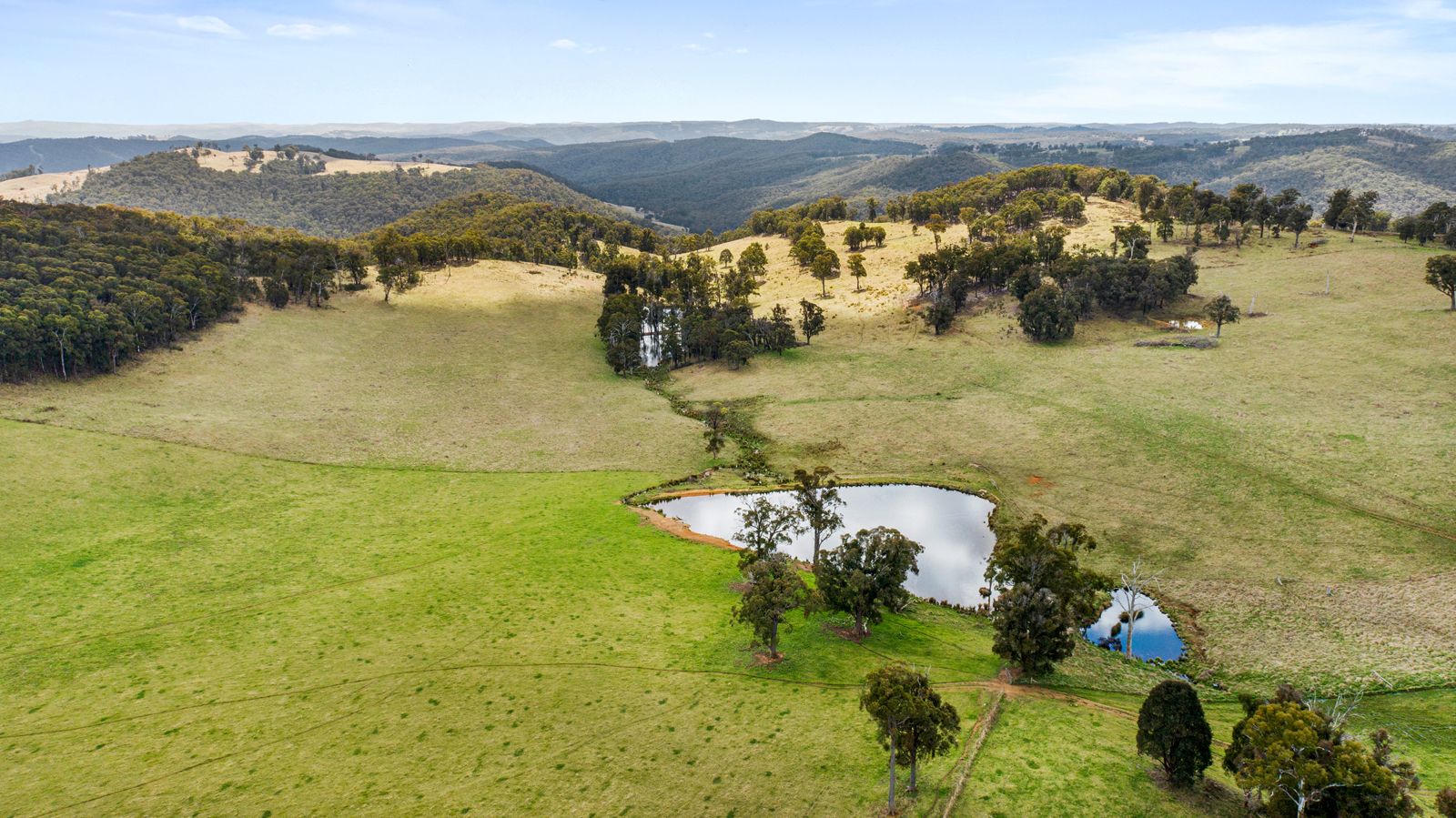 612 NiangalaWeabonga Road, Niangala, Tamworth NSW 2340 Farm for Sale