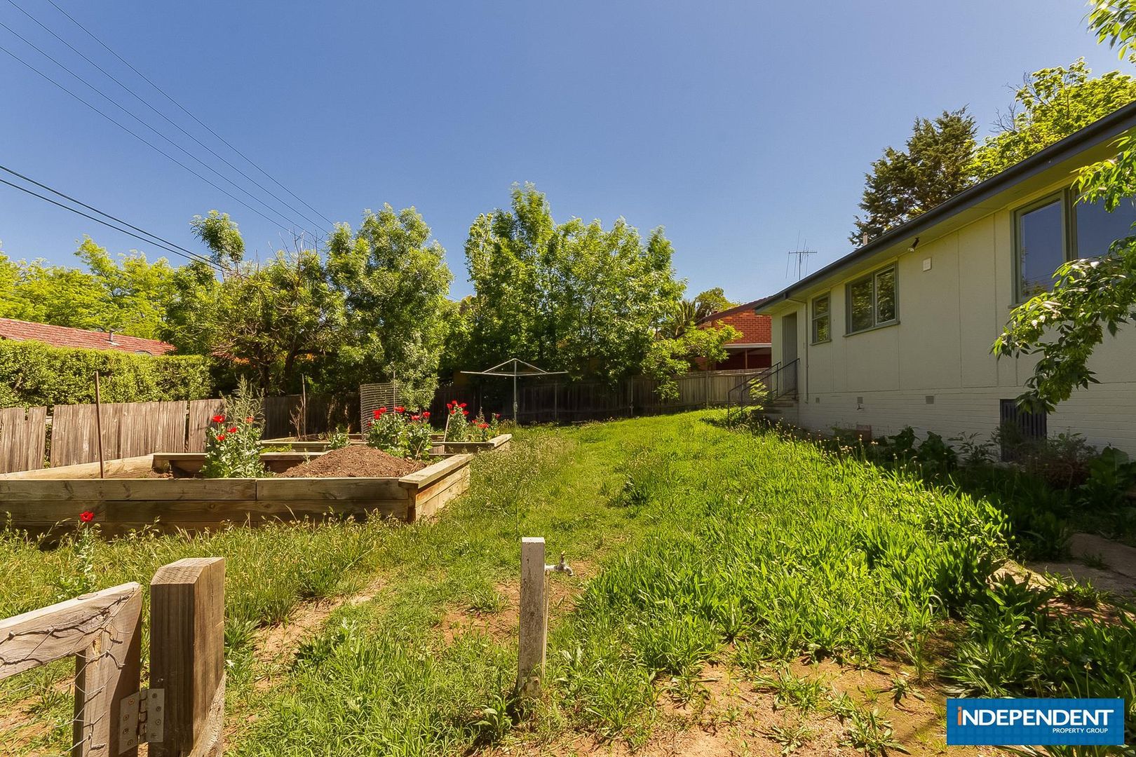 11 Scott Street, Narrabundah ACT 2604, Image 2