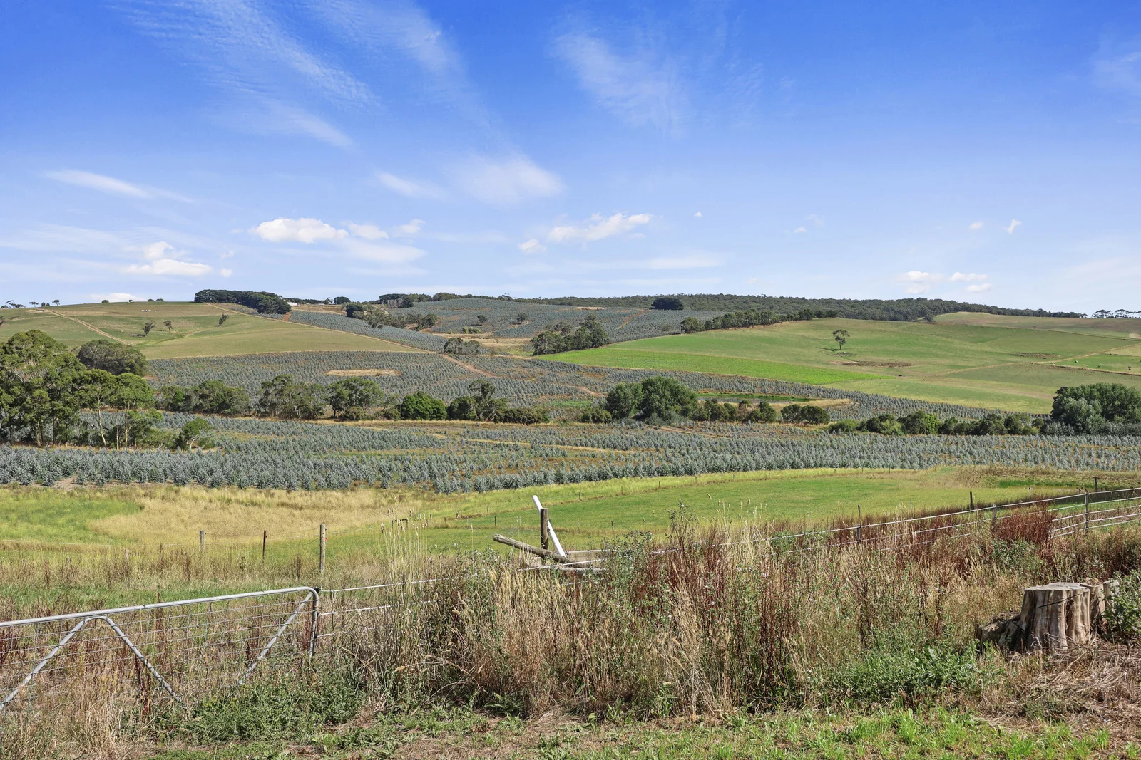 Additional image 20 of 900 Williams Road, Scotts Creek VIC 3267