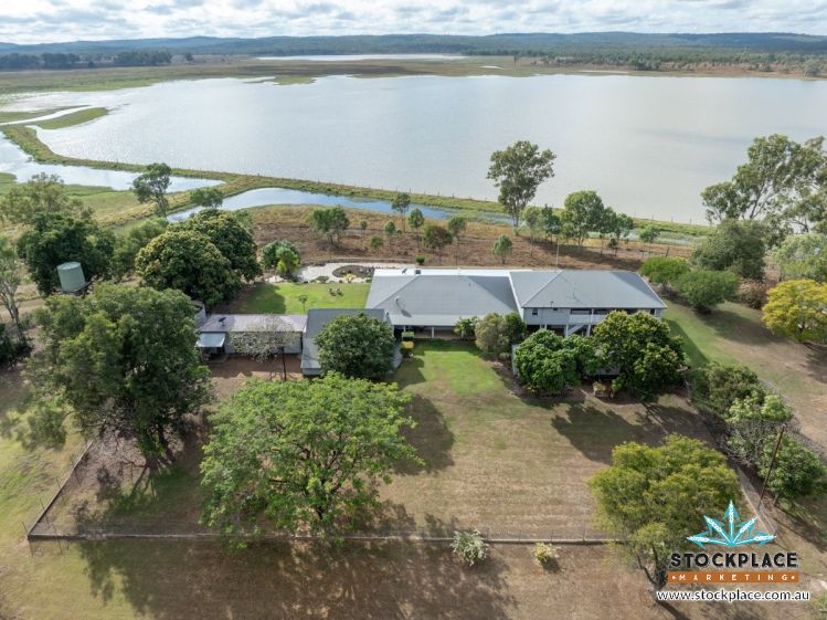 Livestock in Valley of Lagoons, CHARTERS TOWERS CITY QLD, 4820