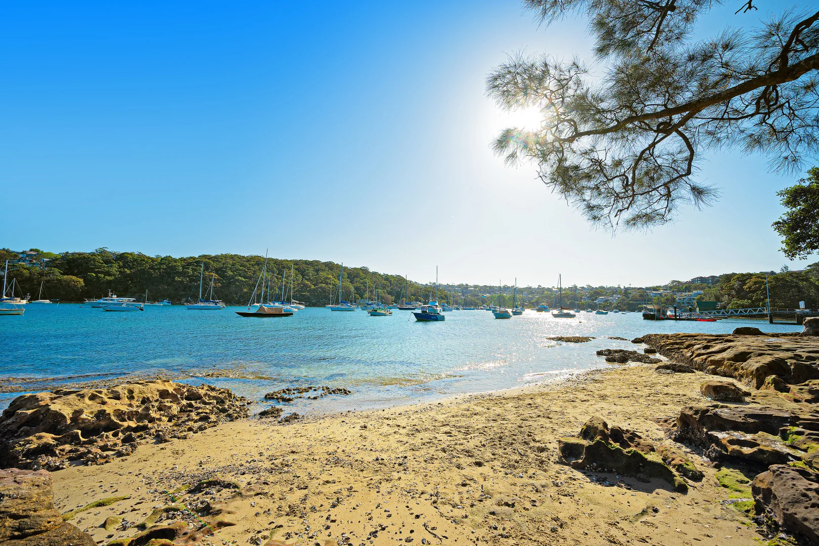 39 Fairlight Crescent, Fairlight NSW 2094 - House For Rent | Domain