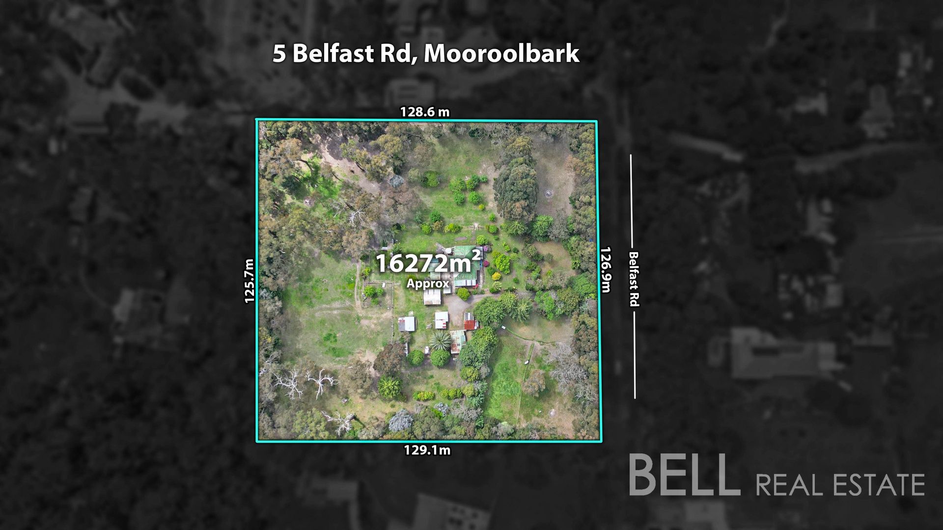 5 Belfast Road, Mooroolbark VIC 3138, Image 0