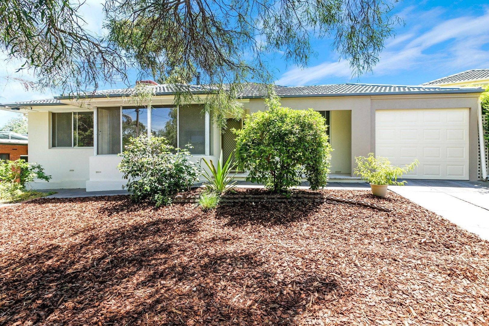 32 Tatiara Drive, Banksia Park SA 5091, Image 0