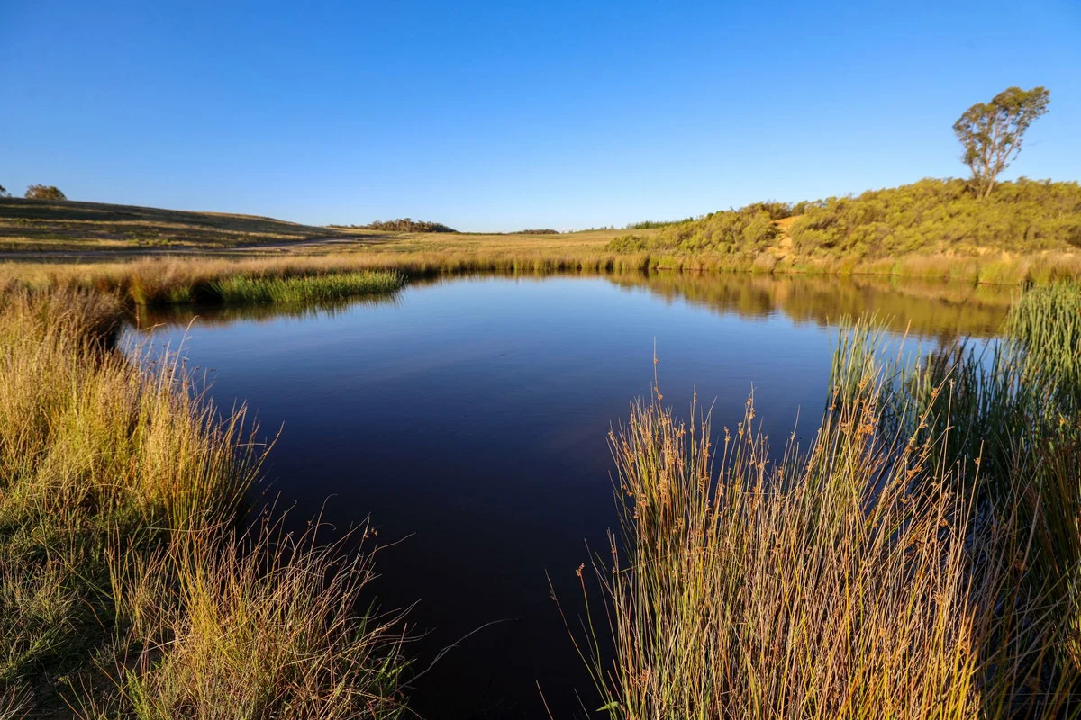 Additional image 11 of 228 Spa Road, Windellama NSW 2580