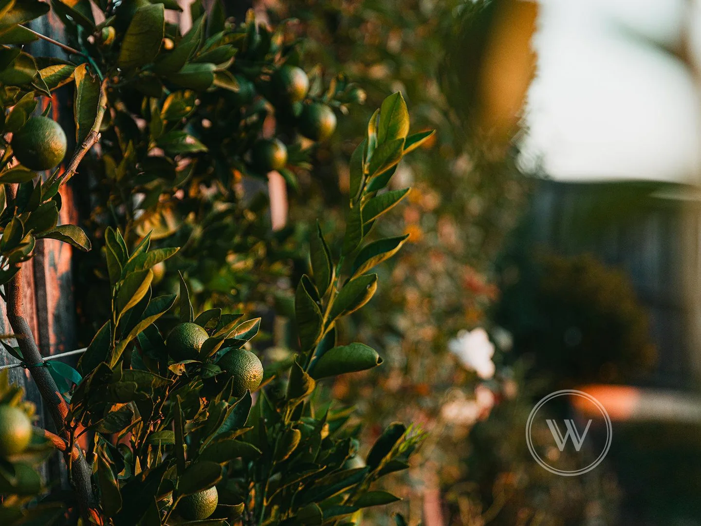 Additional image 7 of 48 Sheoak Street, Warragul VIC 3820