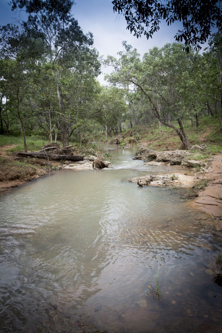 598 Mill Road, Black River QLD 4818 Domain