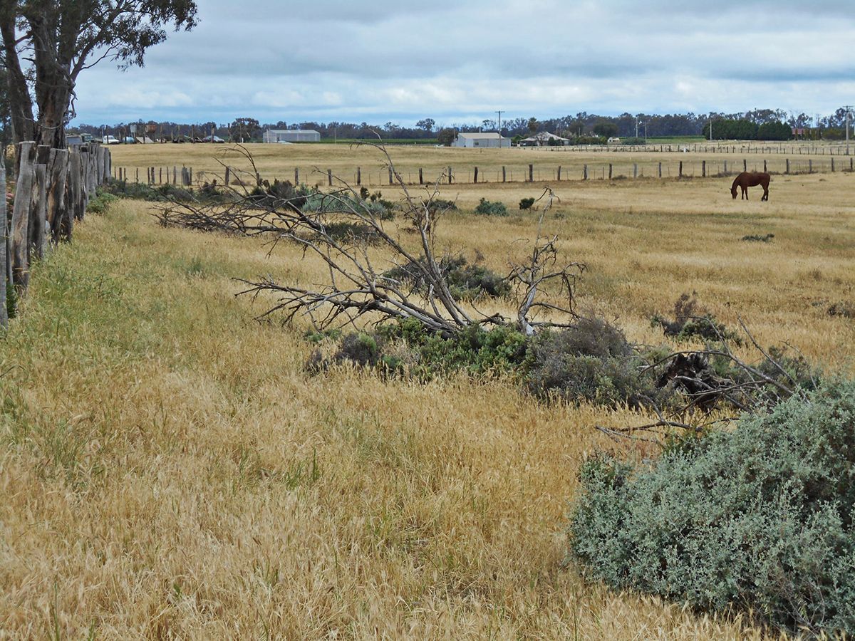 Lot 10 Wanera Lane, Goodnight NSW 2736, Image 0