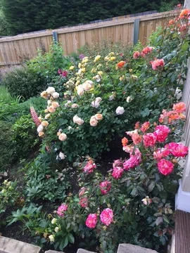 Additional image 27 of 14 Bellevue Parade, New Town TAS 7008