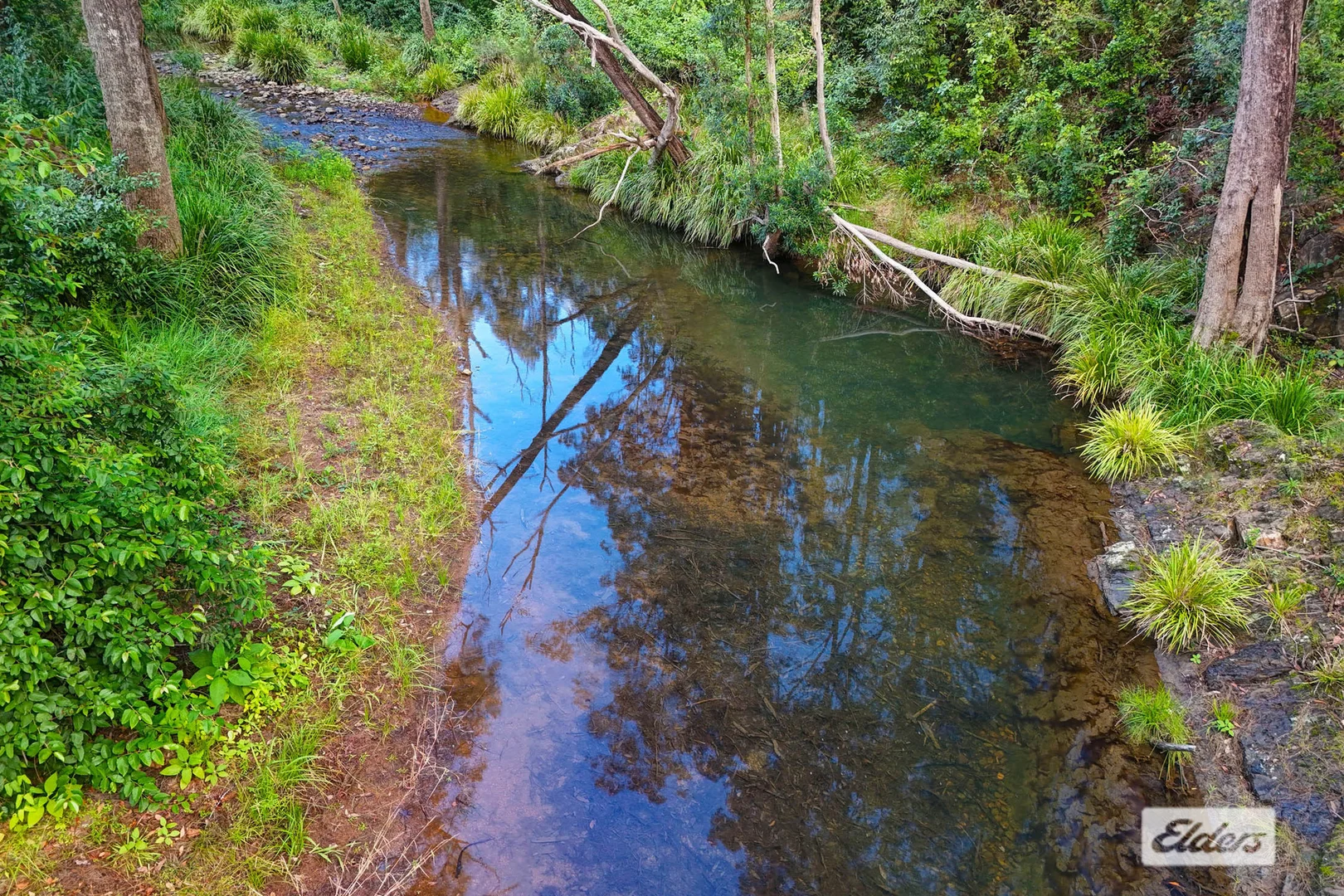 Image 19