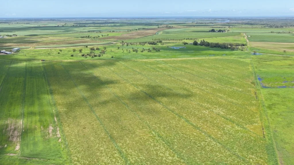 Additional image 35 of 162 Becker Road, Brandon QLD 4808