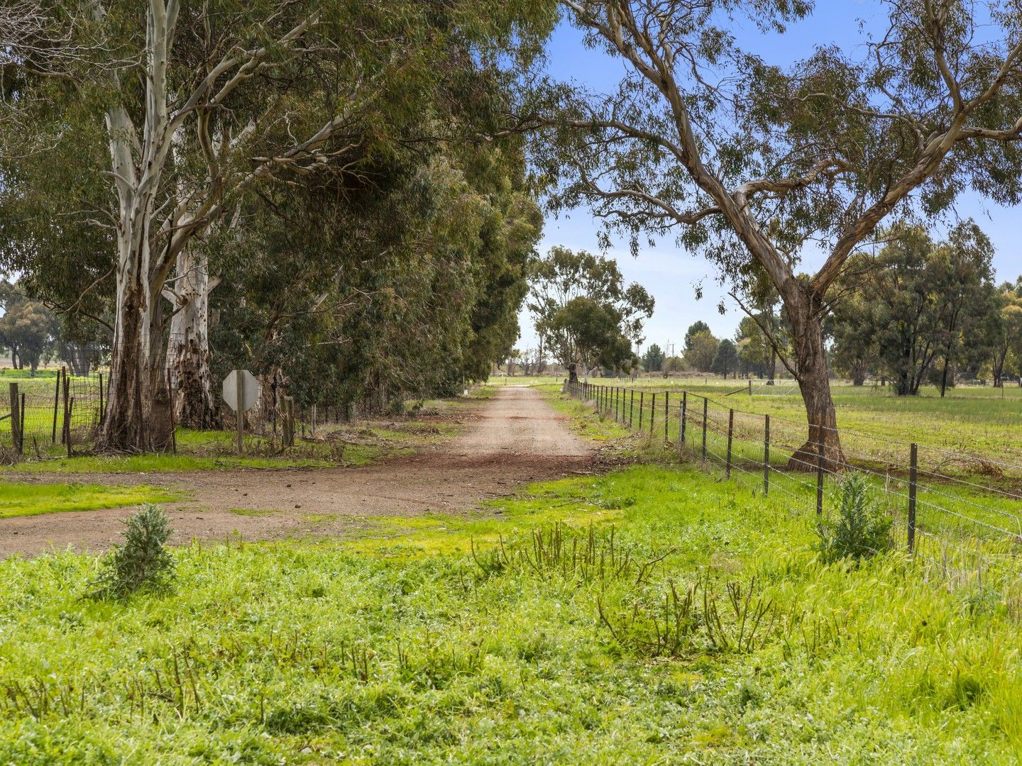 209 Boxwood Road, Berrigan NSW 2712 House for Sale Domain