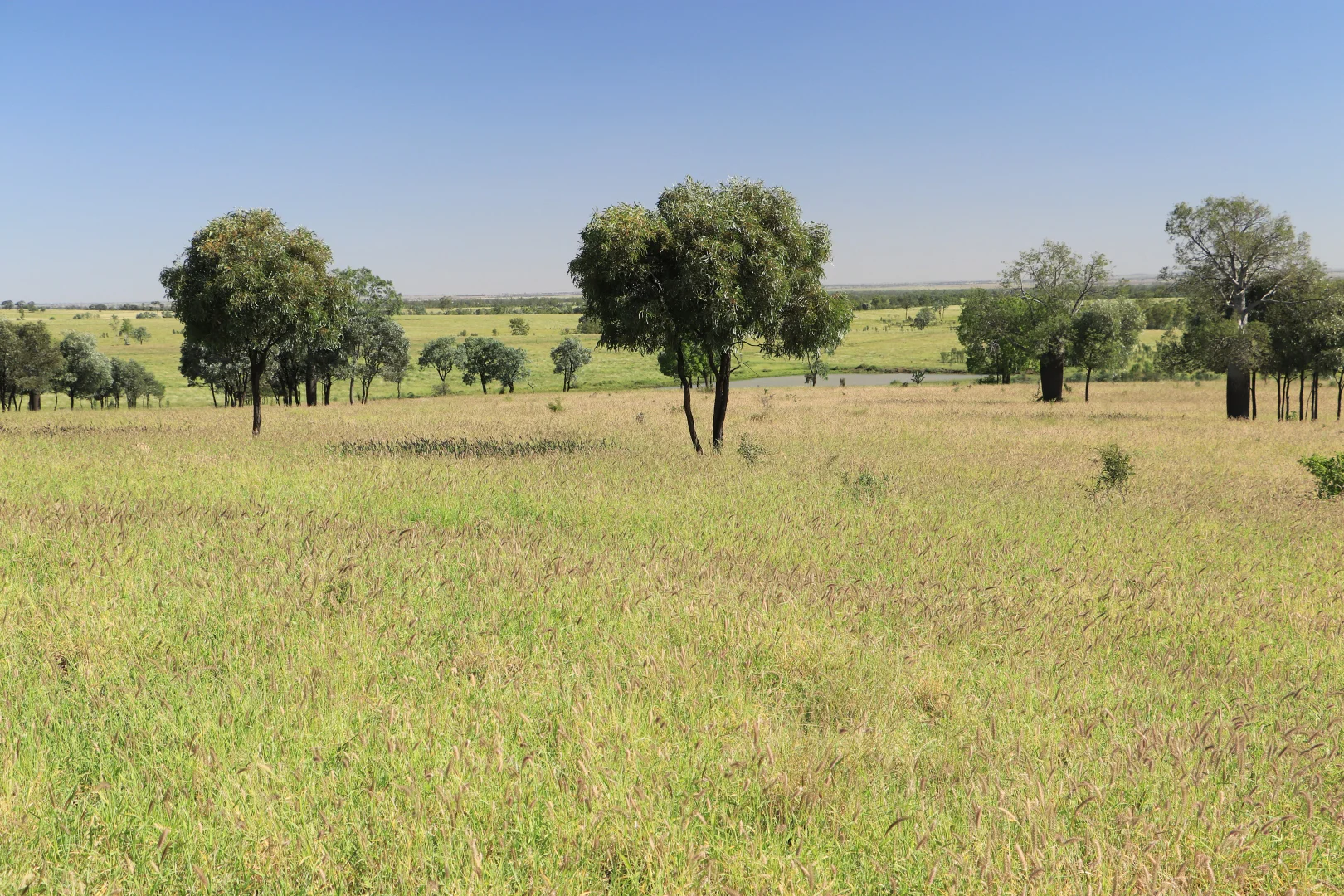 Additional image 2 of Roma QLD 4455