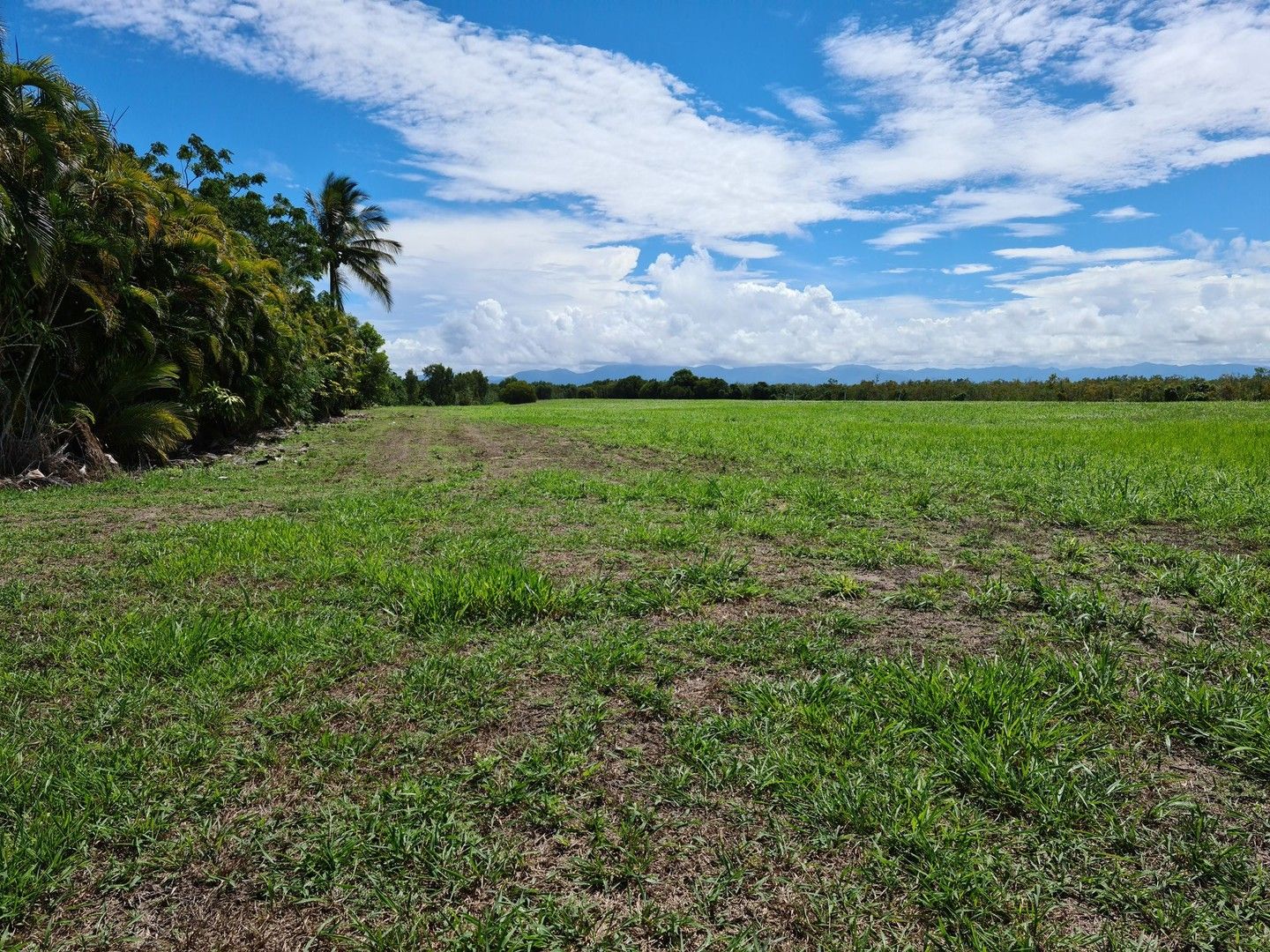 606 Tully Hull Road, Tully Heads QLD 4854 Vacant Land for Sale 495,000