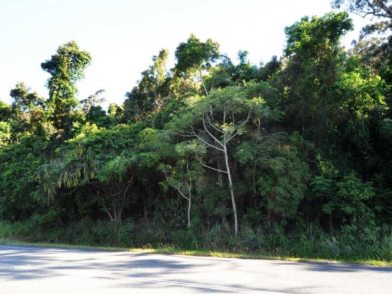 Lot 17 Shute Harbour Road, FLAMETREE QLD 4802, Image 2