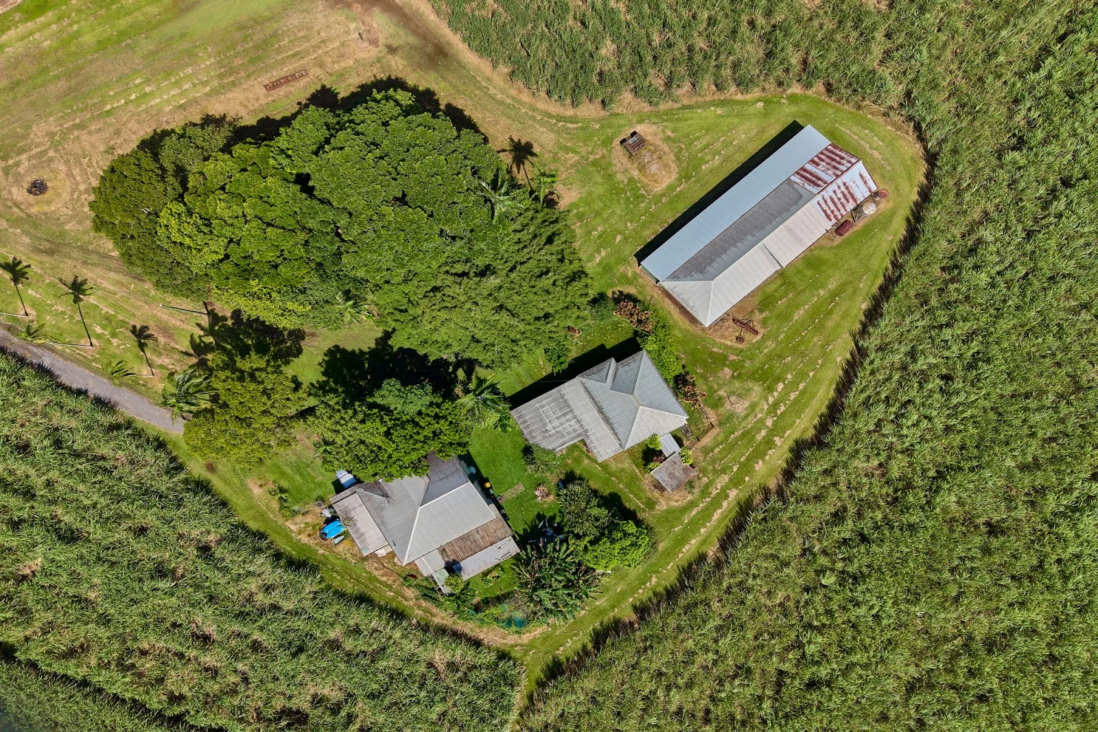 Additional image 2 of 229 Russell Road, Gordonvale QLD 4865