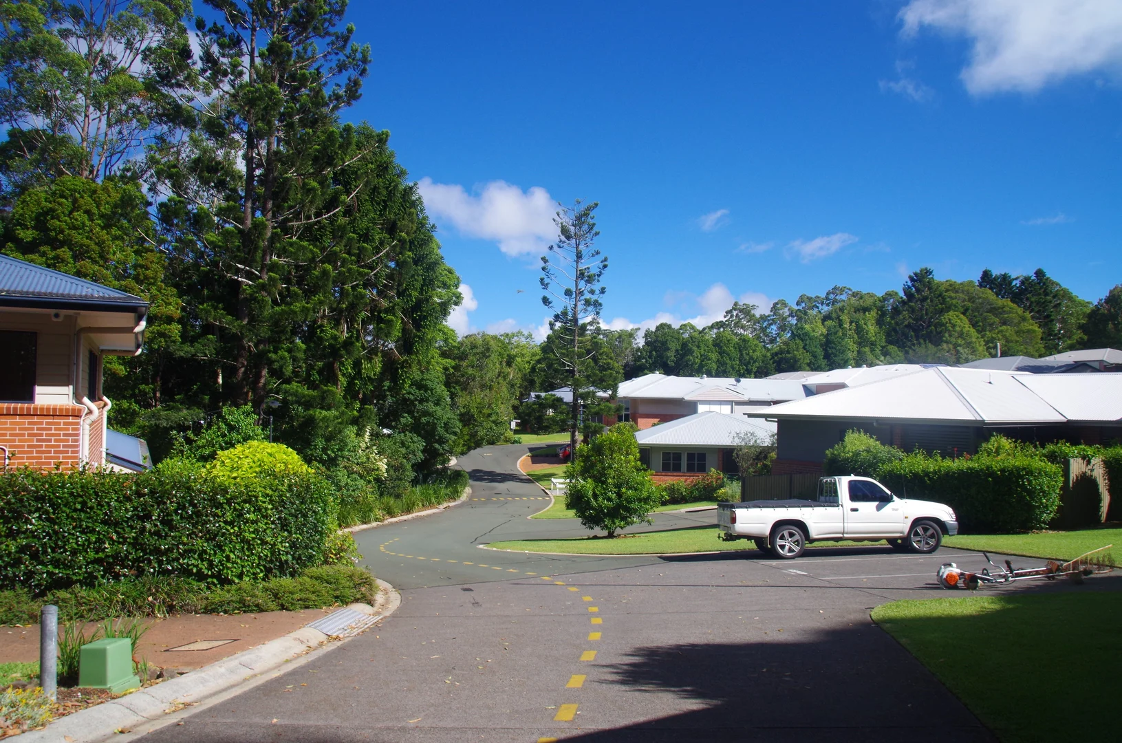 Image 31