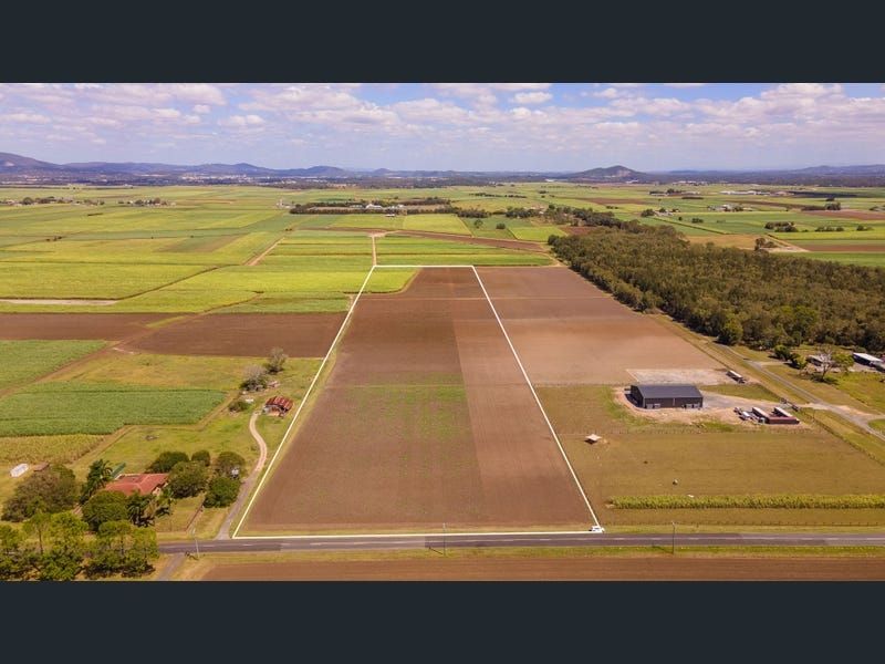 Woongoolba QLD 4207, Image 2