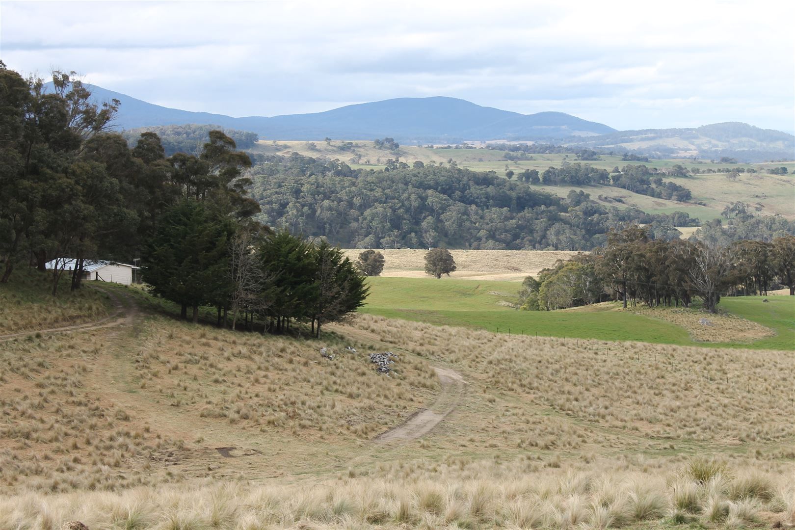 Braidwood NSW 2622 Specialist Farm for Sale Domain