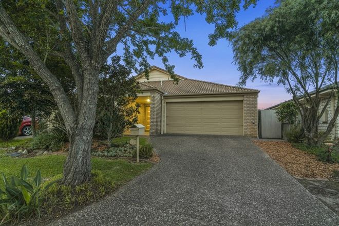 Picture of 1/35 Blossom Street, PIMPAMA QLD 4209