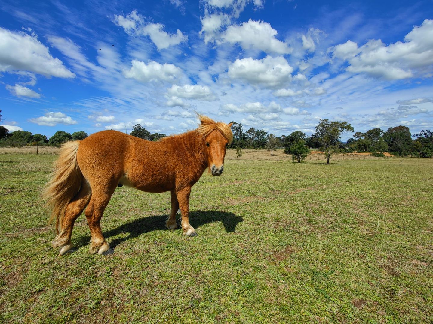 282 Smith Road, Booie QLD 4610, Image 1