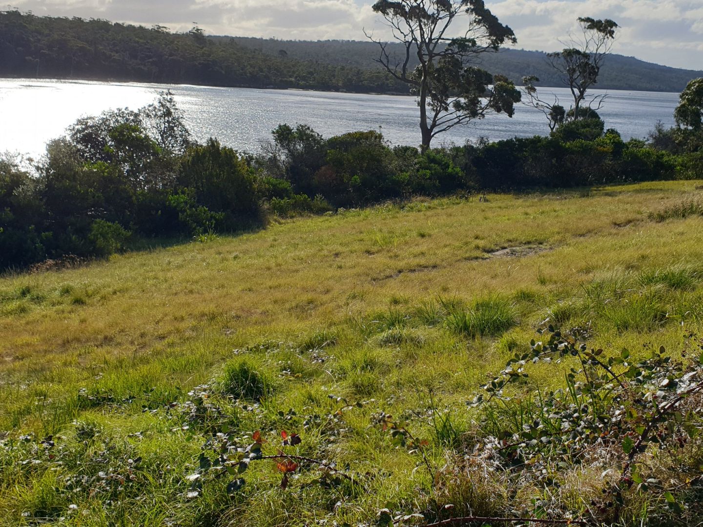 38 Kiama Parade, Akaroa TAS 7216, Image 1