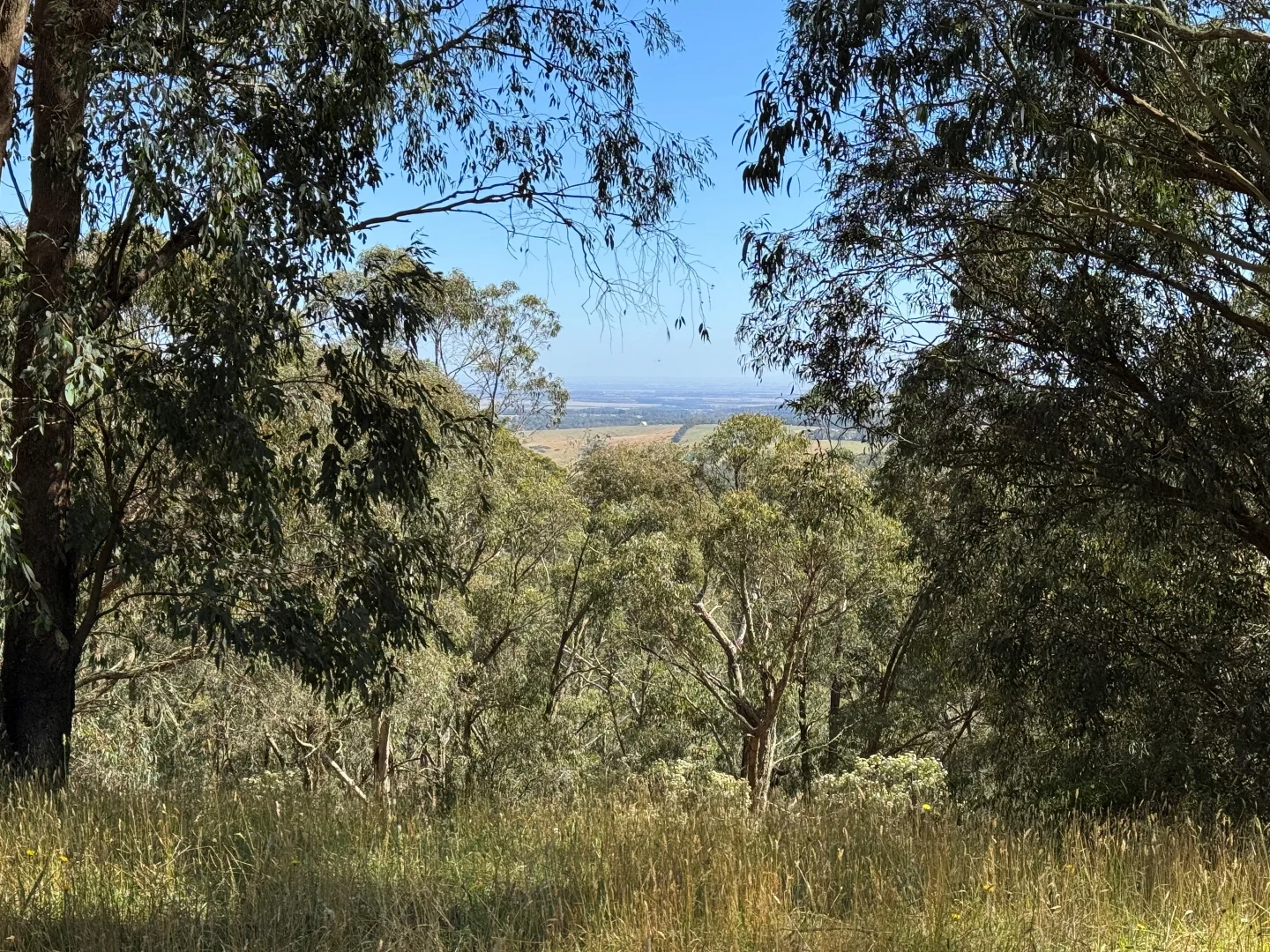 Image 10