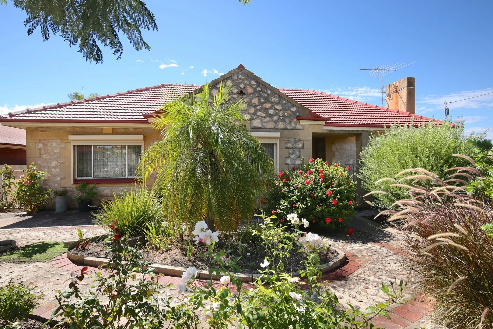 81 Mannum Road, Murray Bridge SA 5253