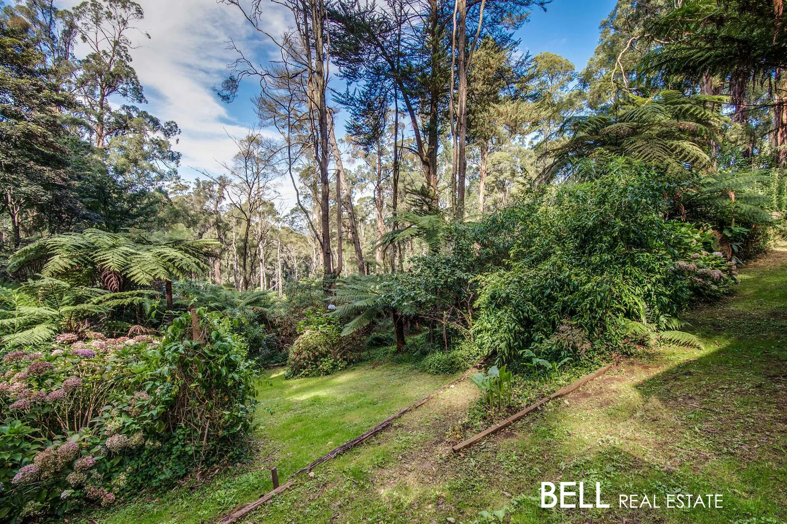 Additional image 12 of 7 Webbs Road, Ferny Creek VIC 3786