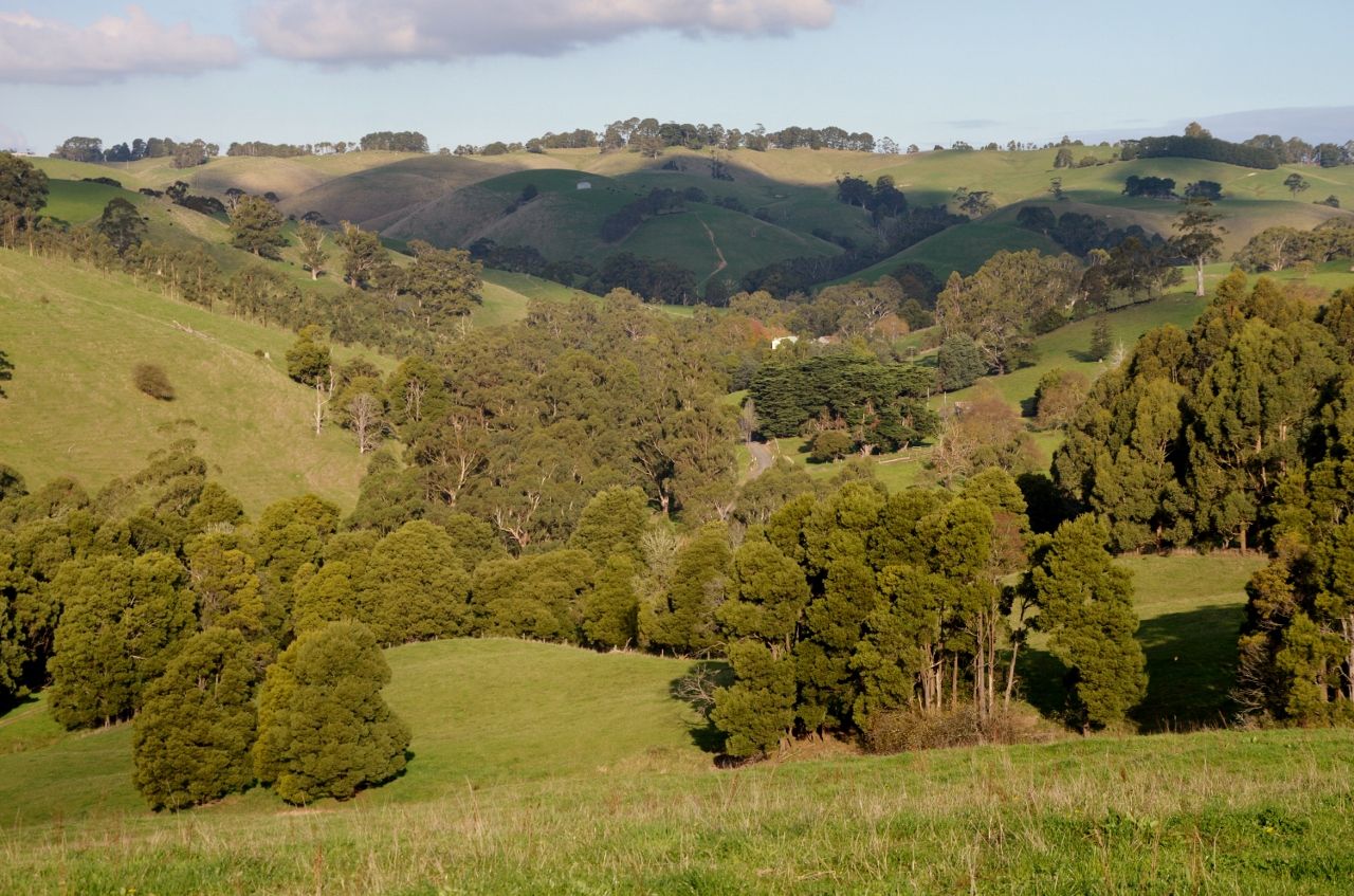 130 & 175 Schmidts Road, Poowong East VIC 3988 House for Sale