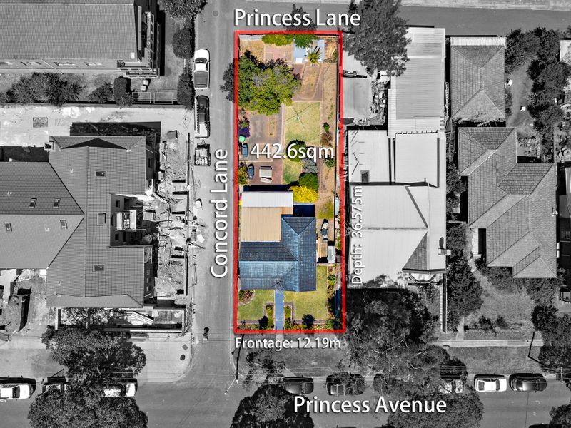 2 Princess Avenue, North Strathfield NSW 2137, Image 0