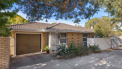 Picture of 141 Townshend Road, SUBIACO WA 6008