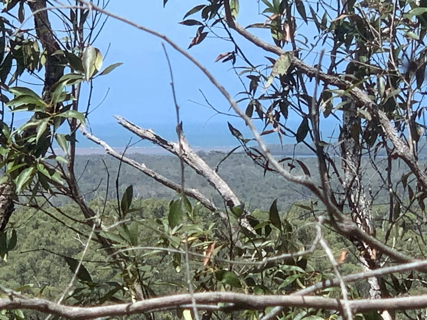 Image 12
