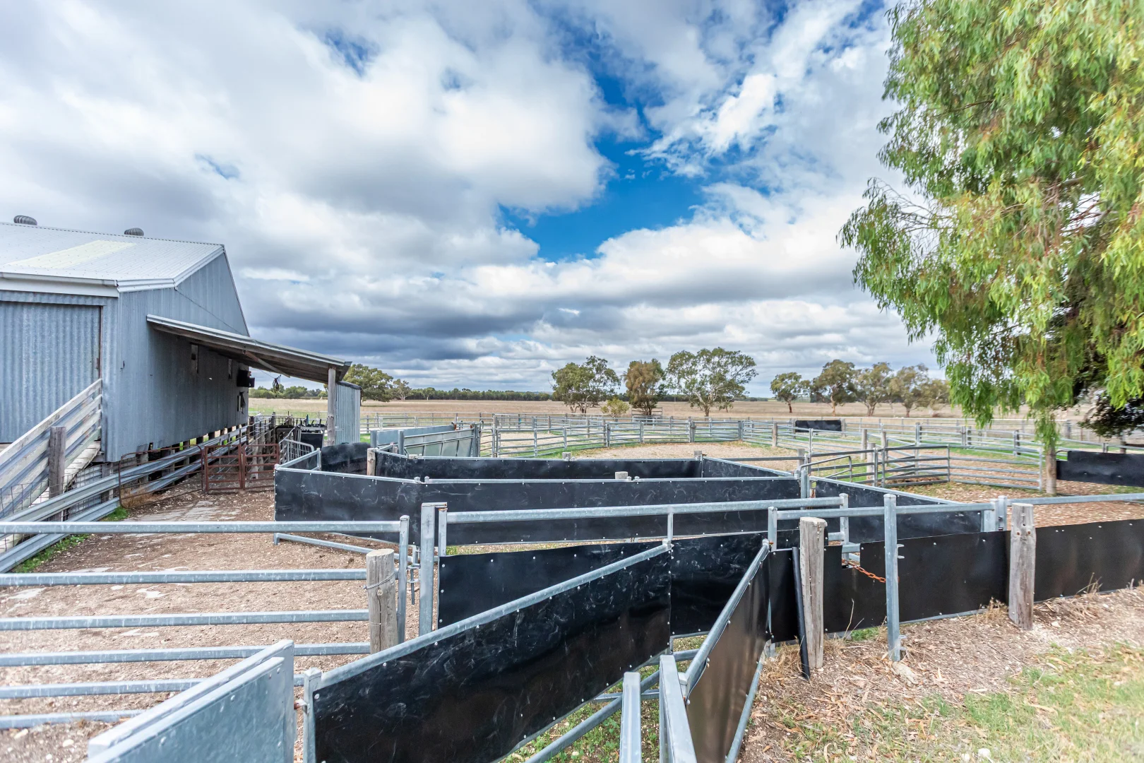 Additional image 23 of 3258 Riddoch Highway, Willalooka SA 5267