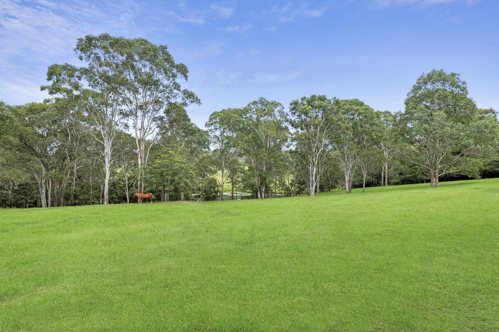 91 Longleat Lane, Kurmond NSW 2757, Image 2