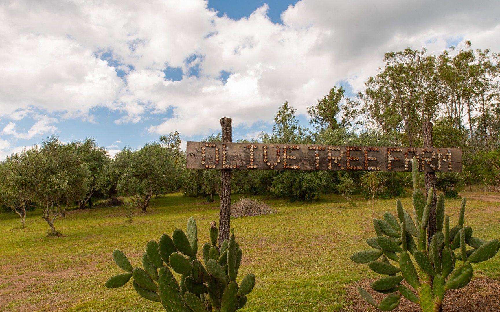 79 Pamela Drive, Blackbutt QLD 4314 House for Sale Domain