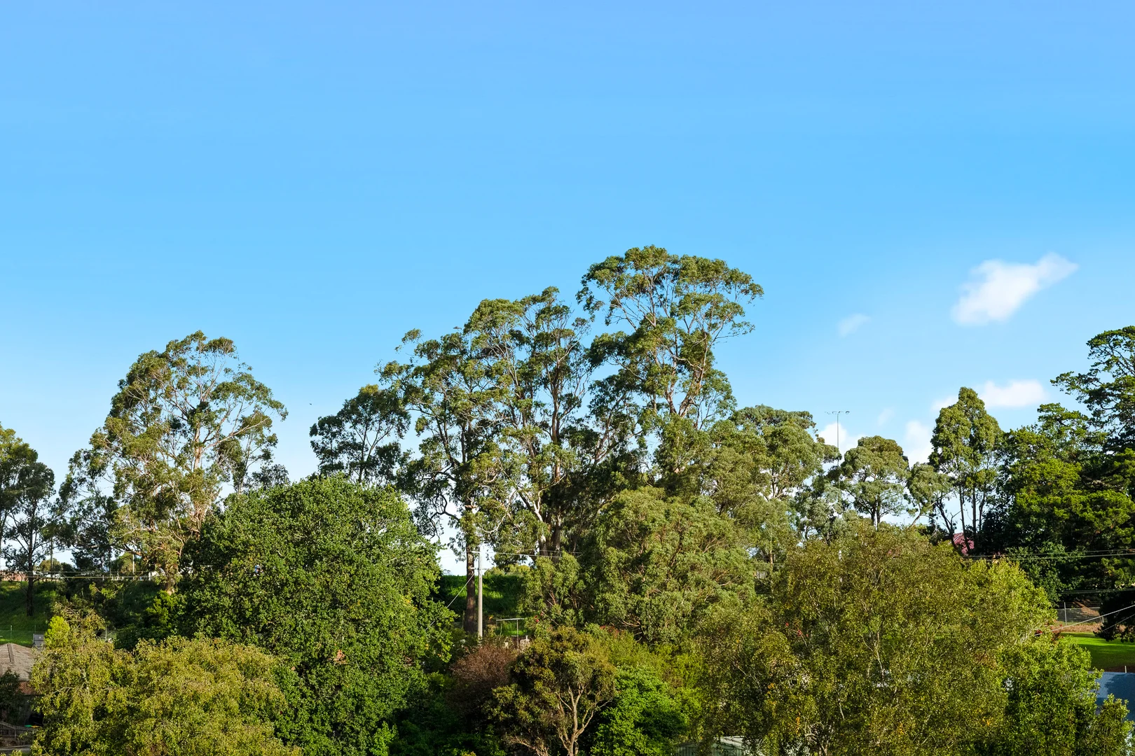 Additional image 18 of 9 Bertram Street, Drouin VIC 3818