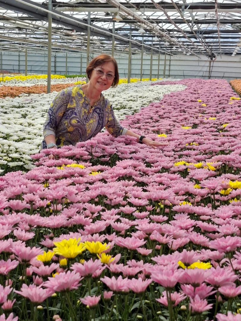 Additional image 13 of 83 Burton Road, Birdwood SA 5234